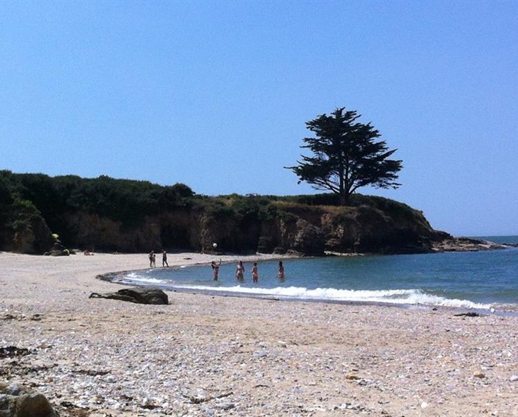 Photo du lieu de baignade LE HALGUEN
